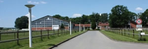 Reitanlage